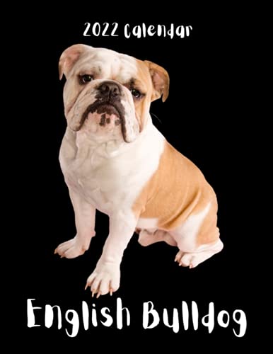 2022 Calendar: Cute English Bulldog 12-Month Calendar Planner with Weekly Monthly Yearly At-A-Glance Pages Income Expense Habit and Mood Trackers