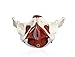 Vision Scientific VAP216 Female Pelvis with Organs | Pelvic Floor Muscles and Reproductive Organs | Removable Organs Include Uterus, Colon and Bladder