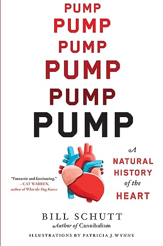 Pump view 2