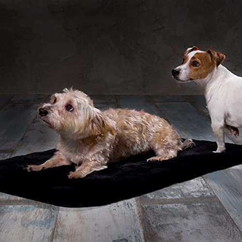 Werner Christ Lammfell Hundedecke Hundeteppich/Hundematte aus echtem Schaffell, der ideale Schlafplatz für Ihren Hund, Größe 50 x 80 cm in schwarz