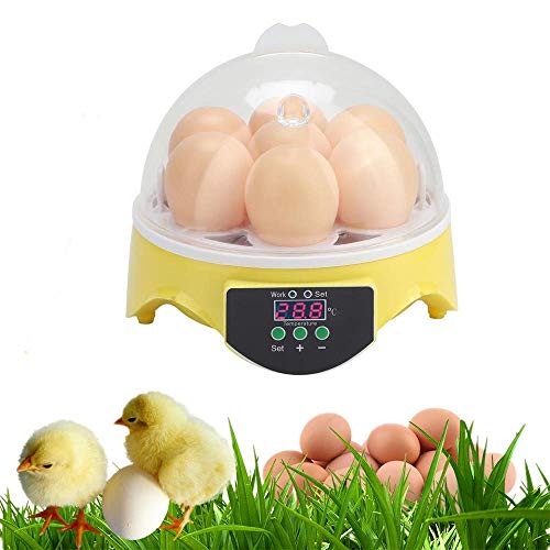 WXHN Inkubator-Set für Kinder, Eier-Inkubator mit Temperaturregelung Klar Allzweck für Inkubatoren Enten Gänse Vögel…