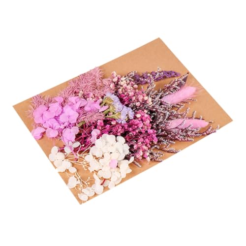 Paquete de flores prensadas para decoración y manualidades miniatura 1