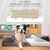 Comfort Expression Orthopedic Dog Bed for Extra Large Dogs 42x30 Inch, Waterproof Egg Crate Foam XL Pet Bed with Removable Bolsters, Dog Couch with Washable Cover & Non-Slip Bottom, Grey #1