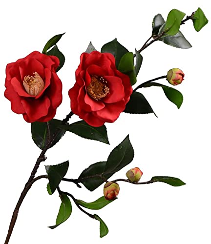 Kugusa ���� ���� �~ �� �� ���� ������ �t�F�C�N �a�� ���� �C���e���A �V�N �ԑ� (�֐�1�{)