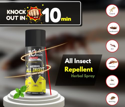 Image of Amish Aerosol All In One Insect Repellent Spray 200ml Pack Of 1 | nsect Control Spray |For Ant, Cockroach, Rat, Lizard, Bed Bugs, Spider, Fly, Centipede, Mouse, Bed Bugs 100% Natural