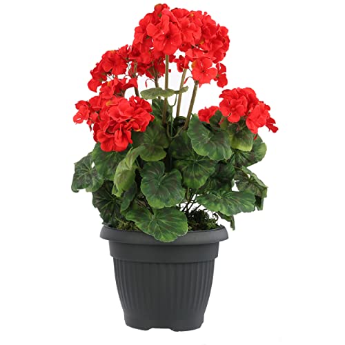 botle 50 cm, vaso per fiori in ceramica, bianco, rettangolare, cactus, piante grasse, bonsai, vaso smaltato