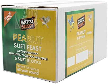 Extra Select Wild Bird High Energy Berry Suet Blocks 6x300gm