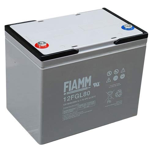 Fiamm 12FGL80 Accumulatore da 12 V, Nero