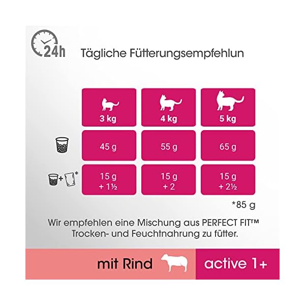 Adult 1+ Katzentrockenfutter reich an Huhn – Bild 5