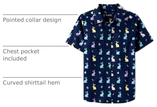 Image of The Children's Place Boys' Short Sleeve Poplin Button Down Shirt