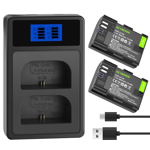 2 Pack LP-E6 Batteries with Dual USB Charger Compatible with Canon EOS 60D 70D 80D 90D 5D Mark II III IV 5DS 6D R R5 C700 XC10 XC15