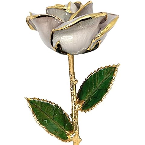 Pearl White 24k Gold Rose - Real Rose Dipped in Gold Cover