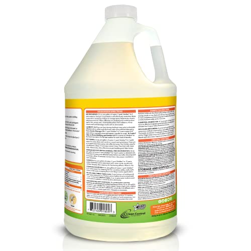 Odoban Disinfectant Concentrate And Odor Eliminator, 1 Gallon, Citrus Scent #TOP1