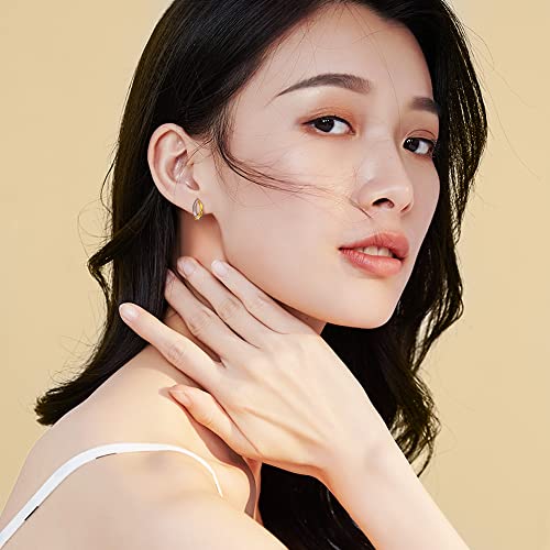 Mixed Metal Earrings with 925 Sterling Silver Ear Posts Two Toned Earrings Silver Hoop Earring for Women Daily Jewel Gift for Her3