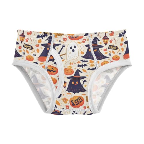 visesunny Boys Potty Training Underwear Hat Ghost Broom Breathe Cotton Briefs Size 2T-8Y for Toddler