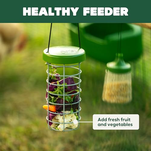 Image of Omlet Caddi Chicken Treat Holder | Attaches Easily to Any Chicken Run | Durable and Practical | Fresh and Healthy Chicken Feeder | Interactive Fun for Your Chickens