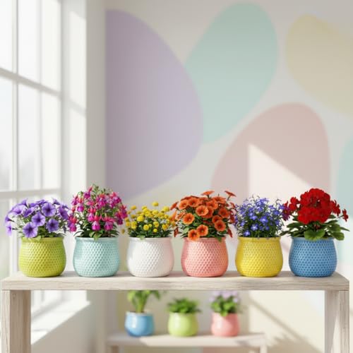 Image of Xtore 6Pc Vibrant Honeycomb Textured Ceramic Planter for Indoor Plants & Succulents | Colorful Decorative Flower Pots for Home, Office Desk, Windowsill & Shelf Styling (Multicolor - Planters only)