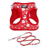 PUPTECK Dog Harness and Leash Set for Small Medium Dogs No Pull Step-in Soft Mesh Puppy Cat Vest Harnesses Reflective at Night, Christmas, S