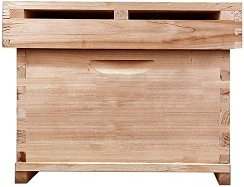 Apis Cerena Mellifera Fir 10 Frame Beehive Box Extension