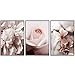 Produktbild decomonkey | Poster 3er  Set schwarz-weiß Bilder Set Kunstdruck Wandbild Print Bilderrahmen Kunstposter Wandposter Posterset Blumen Rosa