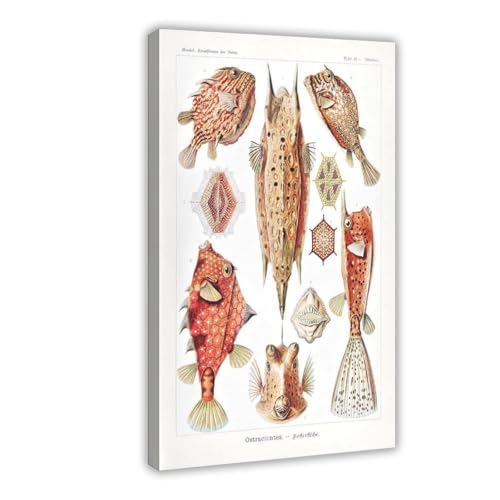 Impression marine vintage sur toile 20x30 cm pour deco salon