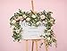 Anna's Whimsy 5.91FT Artificial Eucalyptus Garland With Flowers, Fake Rose Gypsophila, Faux Floral Greenery for Wedding Spring Party Art Table Runner Decor (Pink, 1)