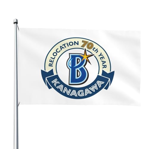 lDeNAxCX^[Yi11j 싅̊   ^pi Ԍ 뉀 LO 4x6ft/122x183cm