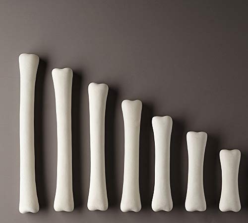 Yellow Door Yus1033 Dinosaur Bones Match And Measure, Set Of 16, Multi #TOP1