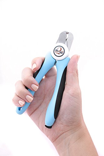 best dog grooming nail clippers