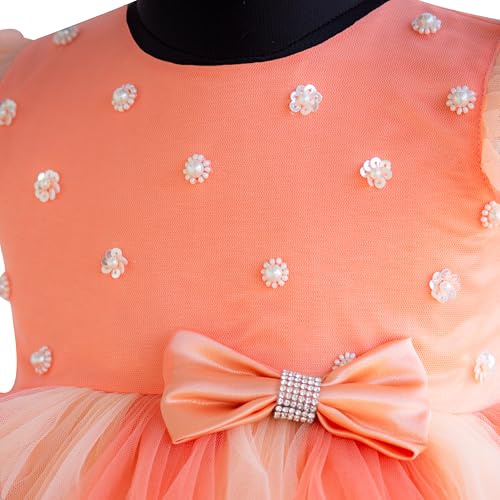 Image of Stanwells Kids Baby Net Dress for Baby Girl Birthday Summer Dress