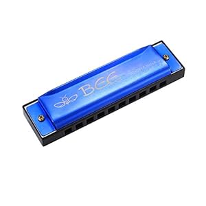 Zhujiehigh Harmonica, 10 Holes 20 Tones Kids Harmonica, Beginner Mouth Organ Key of C, Music Gifts for Musicians, Kids…