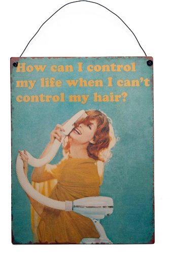 How Can I Control My Life When I Can't Control My Hair? Retro Wall Sign Plaque