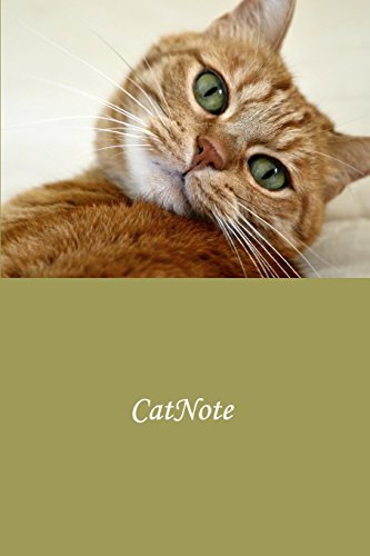 Catnote Notebook view 2