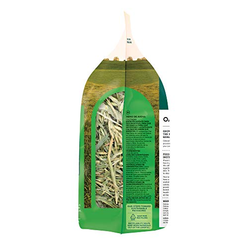Oxbow Animal Health Oat Hay - All Natural Hay For Rabbits, Guinea Pigs, Chinchillas, Hamsters & Gerbils - 15 Oz. #TOP7