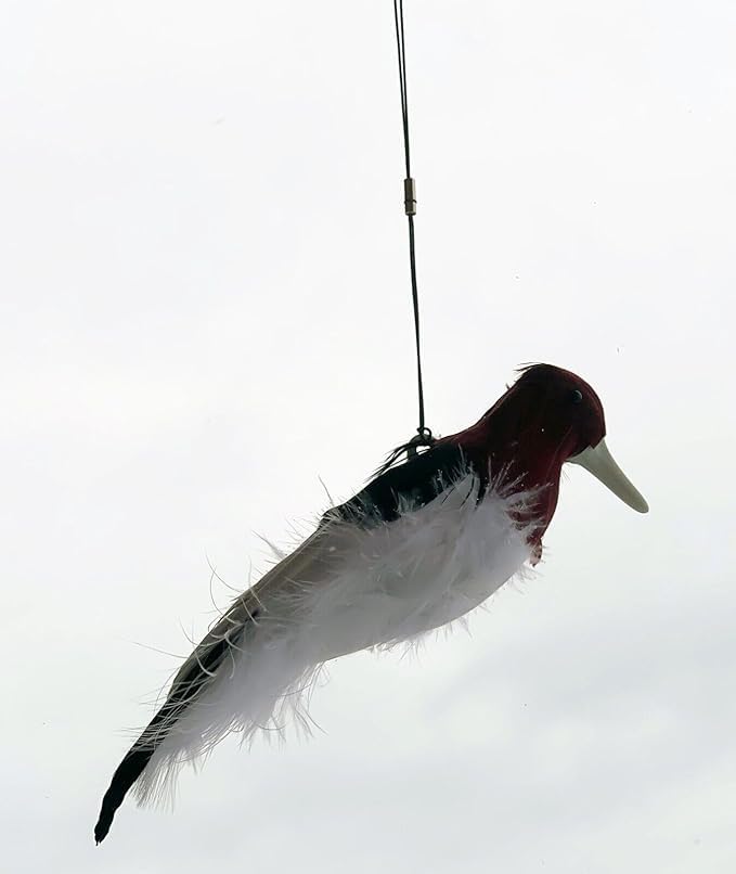 Slockmaster Kill Chirp, Digital Trap Bait Caller - Designed by Master Trappers Tim Wells & Tom Miranda