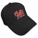 Baseball Cap Welsh Dragon Embroidery Acrylic Dad Hats for Men & Women Strap Closure Black Design...