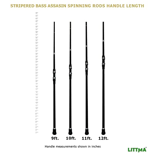 Littma Surf Rods Surf Spinning Rod Surf Rods Saltwater 12Ft 9Ft 10Ft 11Ft Graphite Surf Rod Surf Casting Rod Surf Fishing Rod Surf Rod Saltwater Surf Travel Rod Surf Rod Barra De Surf Surf Rod #TOP4