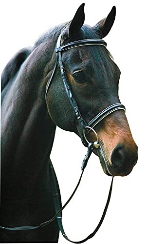 Henri De Rivel Dressage Bridle Horse Black #TOP28