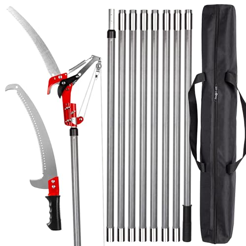 Your Ultimate Guide to Palm Tree Saws Expert Tips Innovate Your Path