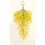 Worth Imports Forsythia Teardrop, 28'