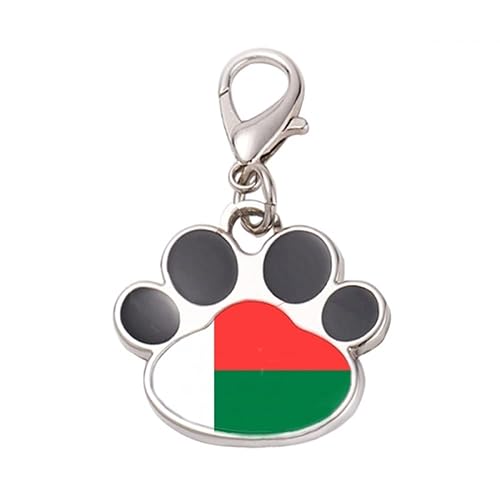 DIYthinker?Madagascar National Flag Africa Country Pet Tag Keychain Dog Cat ID