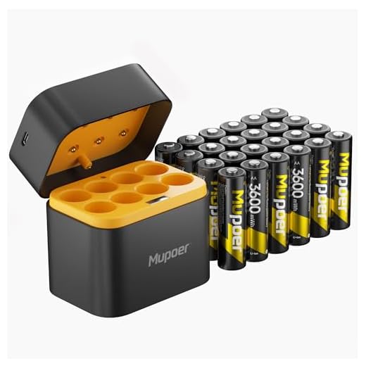 Rechargeable Lithium AA Batteries with Charger