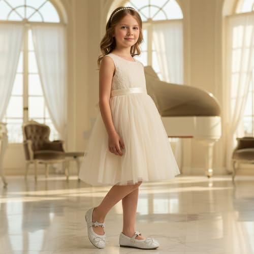 Image of GINFIVE Toddler Girls Dress Shoes Little Girls Mary Janes Ballerina Flats Shoes Toddler