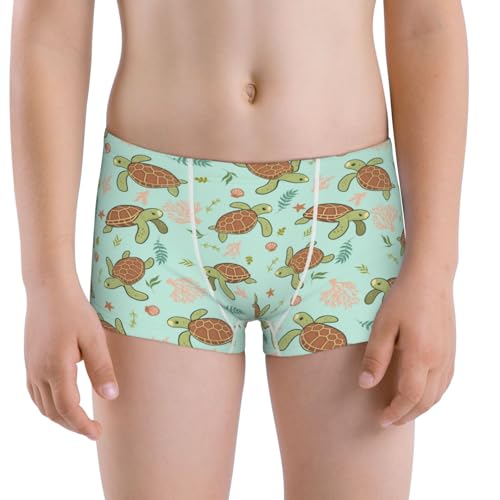 Boys' Cotton Boxer Brief Soft Underwear-Cute Sea Turtles