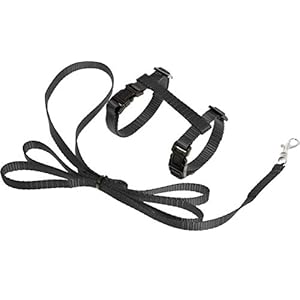 Flamingo Asp Harnais + Laisse pour Chaton Noir 120 cm 10 mm