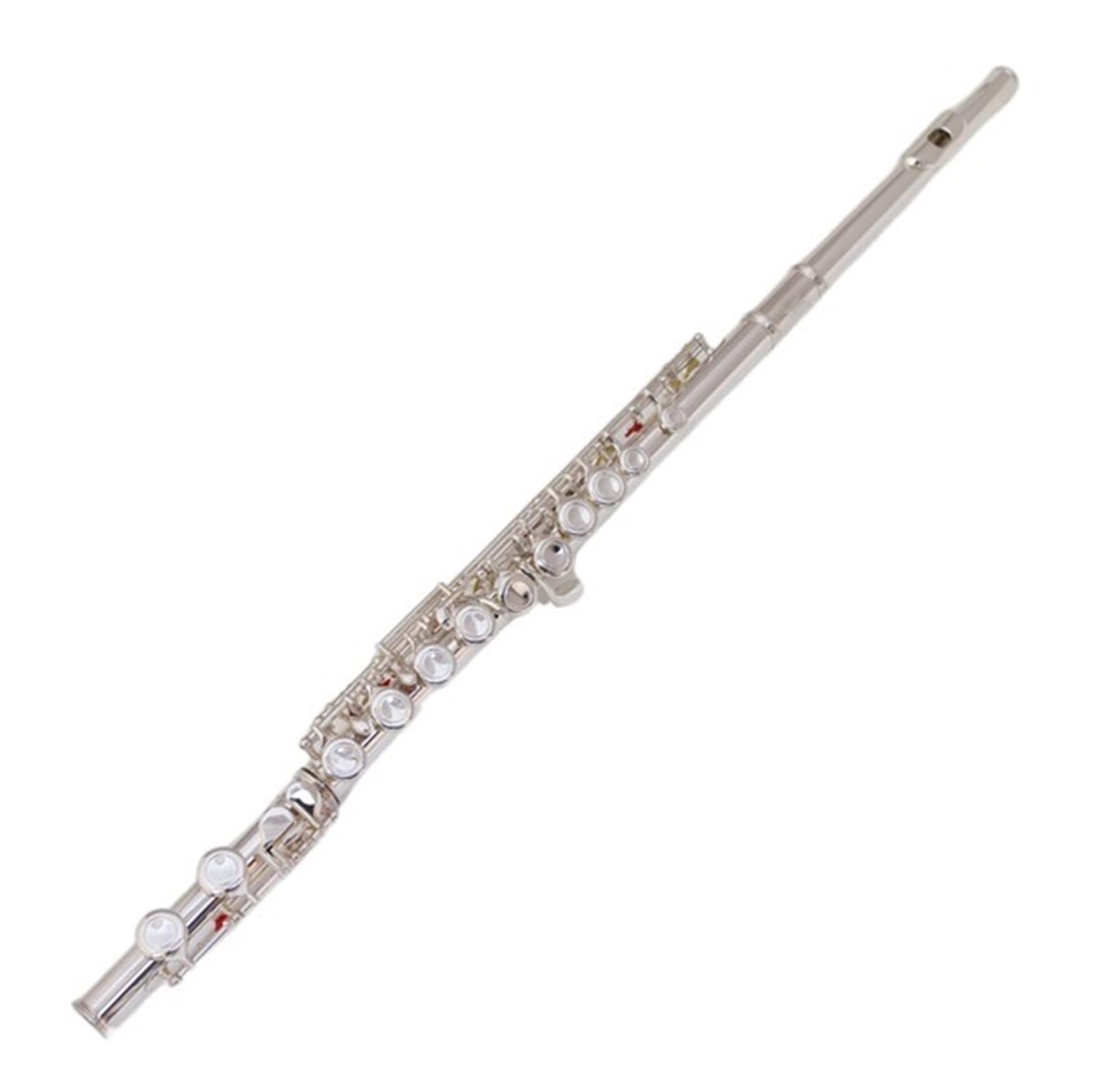 Amazon.co.jp: フルート 銀メッキ C脚 16穴 クローズEキー (Color