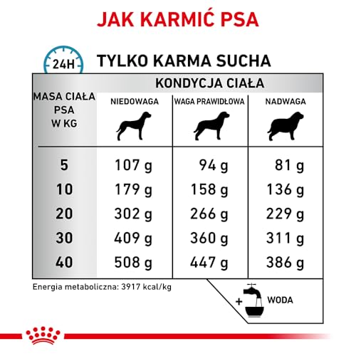 Royal Canin Anallergenic 8 kg Adult