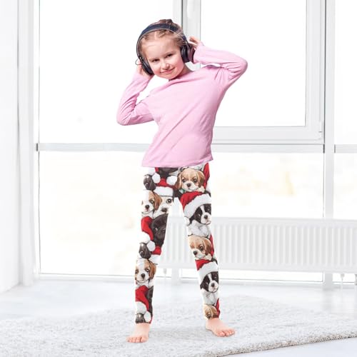 Dogs in The Hat Girls Leggings,Workout Leggings for Girls Toddler Athletic Leggings Size for 3-10T4