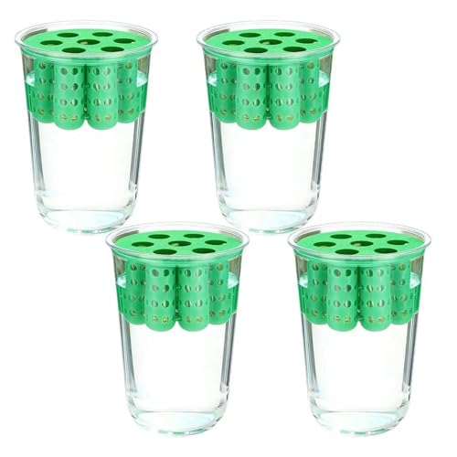 Green Onion Planter Hydroponic Grower Kit 7 Holes Clear Reusable Scallion Seedling Tray Mini Vase For Plant(4 sets)