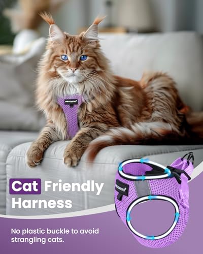 Image of FAYOGOO Cat Harness, Cat Leash and Harness Set for Walking Escape Proof, Harness for Small Cats /Small Dogs, Large Kitten /Puppy Harness and Leash, Harness for Cats,XXL(Modern Violet, Medium) | Step-in mesh vest, velcro + buckle + D-ring; reflective strips; includes matching leash; 5 sizes